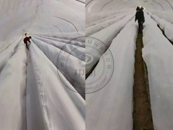 草莓大棚保溫